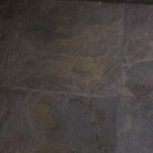 Meet your Posher, Leo